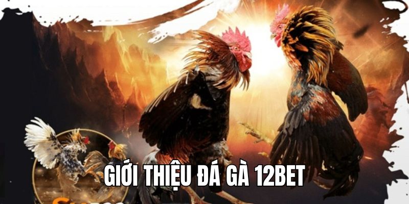 Giới thiệu về đá gà 12BET