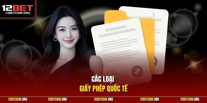 Các loại giấy phép quốc tế 