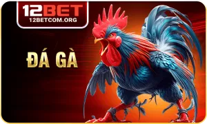 icon đá gà 12bet