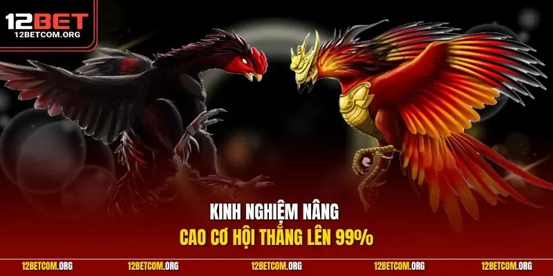 Kinh nghiệm nâng cao cơ hội thắng lên 99%