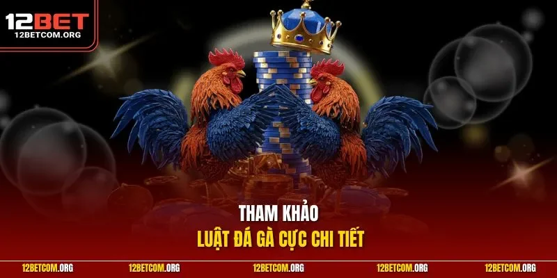 Tham khảo luật đá gà cực chi tiết