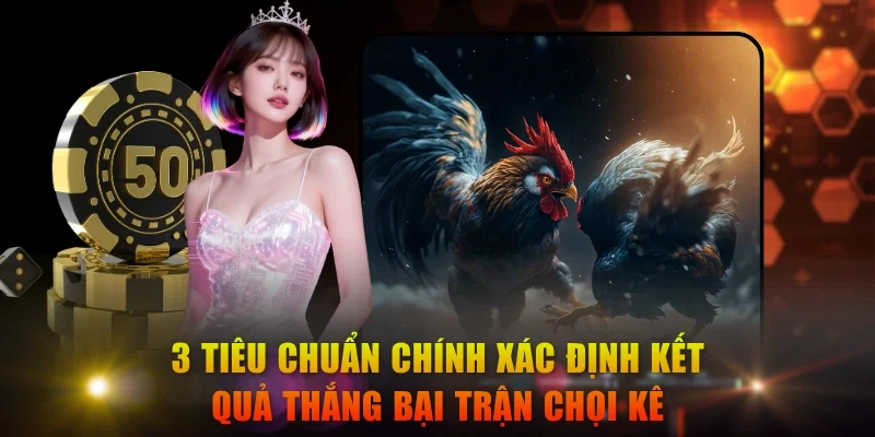 3 tiêu chuẩn chính xác định kết quả thắng bại trận chọi kê