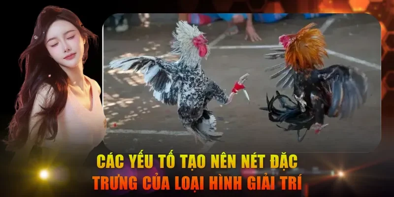 Các yếu tố tạo nên nét đặc trưng của loại hình giải trí