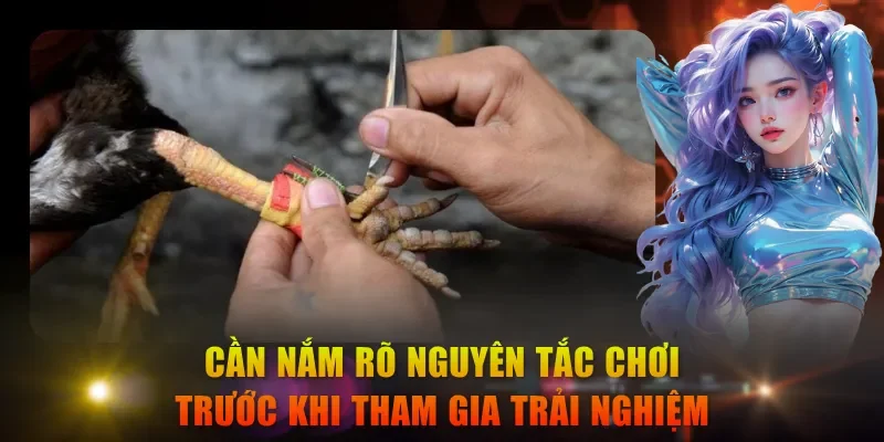 Cần nắm rõ nguyên tắc chơi trước khi tham gia trải nghiệm