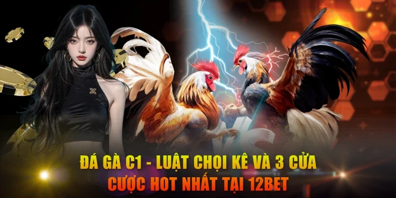 Đá Gà C1