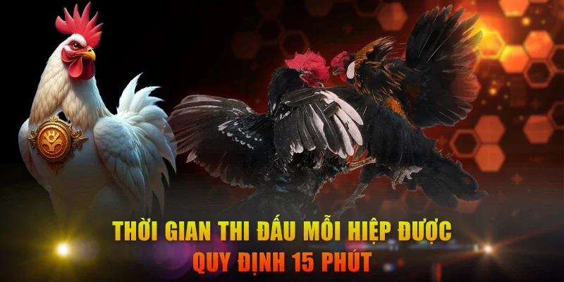 Thời gian thi đấu mỗi hiệp được quy định 15 phút